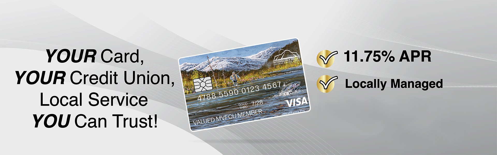 Visa 2025 banner